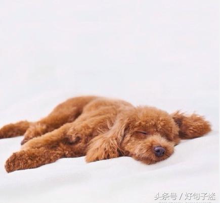 做人就要酷一点的说说 耍酷耍帅的幽默句子图片