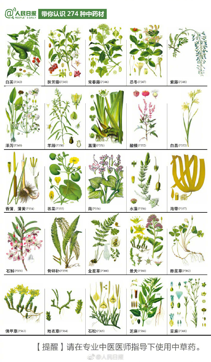 274种中草药材，你认识几个？-第6张图片-农百科