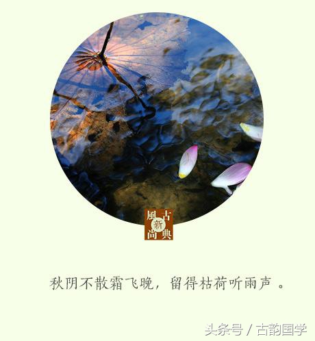 蟋蟀独知秋令早，芭蕉下得雨声多，感受古人写给秋天的唯美诗句-第4张图片-非凡网