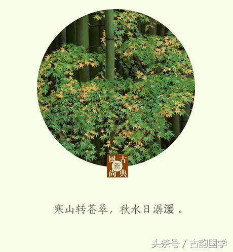 蟋蟀独知秋令早，芭蕉下得雨声多，感受古人写给秋天的唯美诗句-第6张图片-非凡网