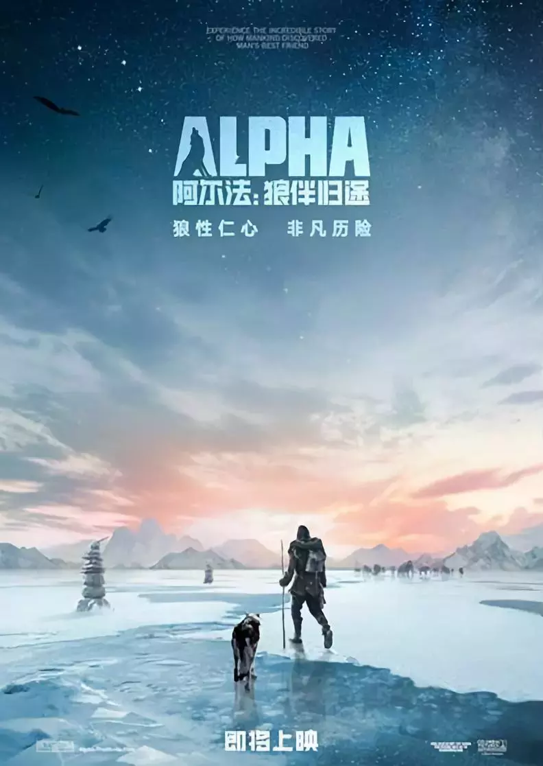 狗在古代战场上都有什么作用?电影《狼伴归途》没告诉你的那些事
