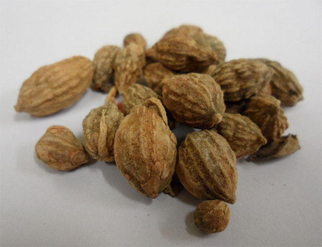 4种中药泡水,防痛经 治失眠 皮肤也白了