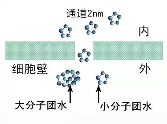 低氘水,不为人知的那些事