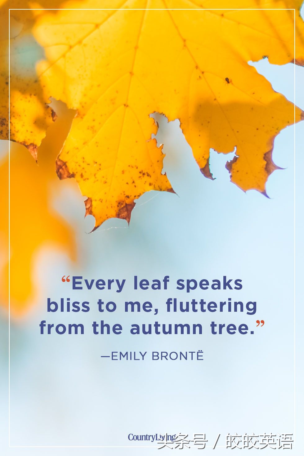 关于秋天的优美英文句子
