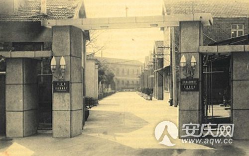 一贴药膏成就百年 一专多元寻找新生