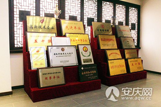 一贴药膏成就百年 一专多元寻找新生