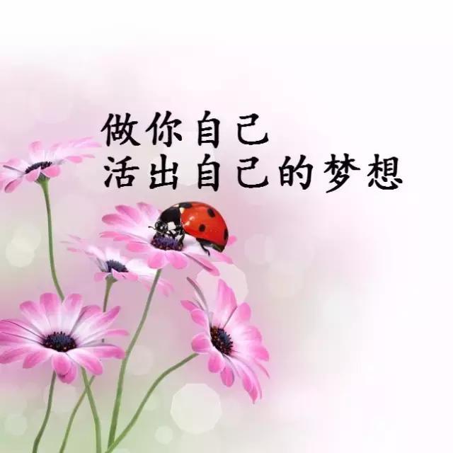 看透人生看淡人情冷暖的句子，句句精辟走心，说到心坎上