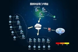 什么是智慧林业