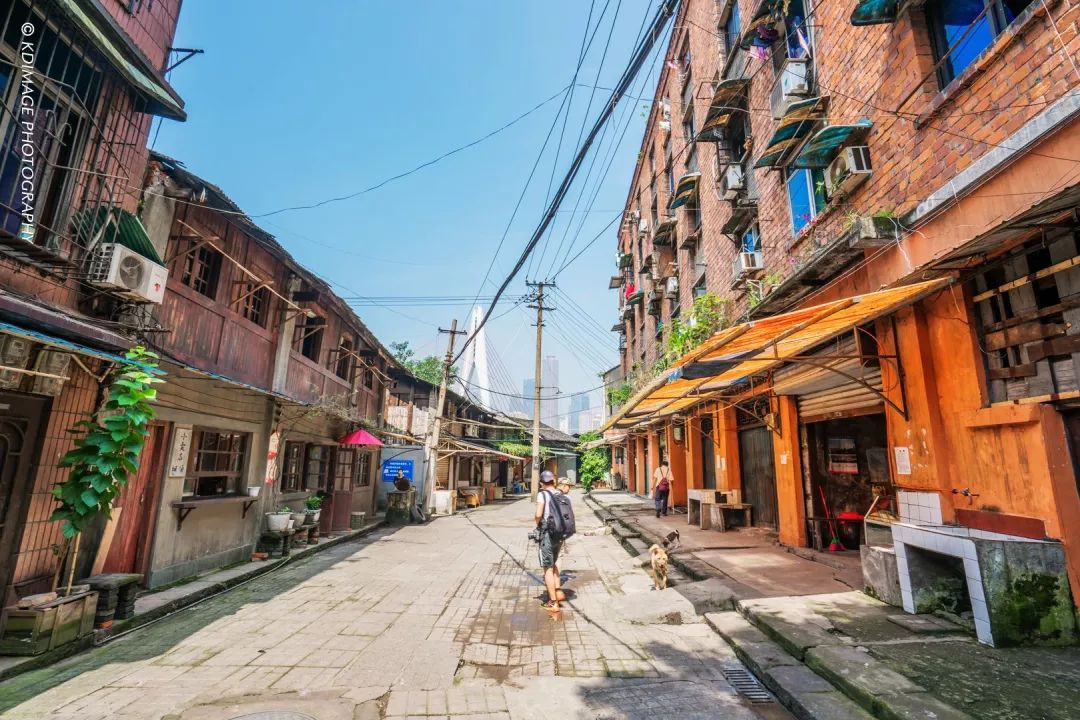 除了穿楼轻轨和洪崖洞，重庆这10个旅游网红打卡地千万别错过