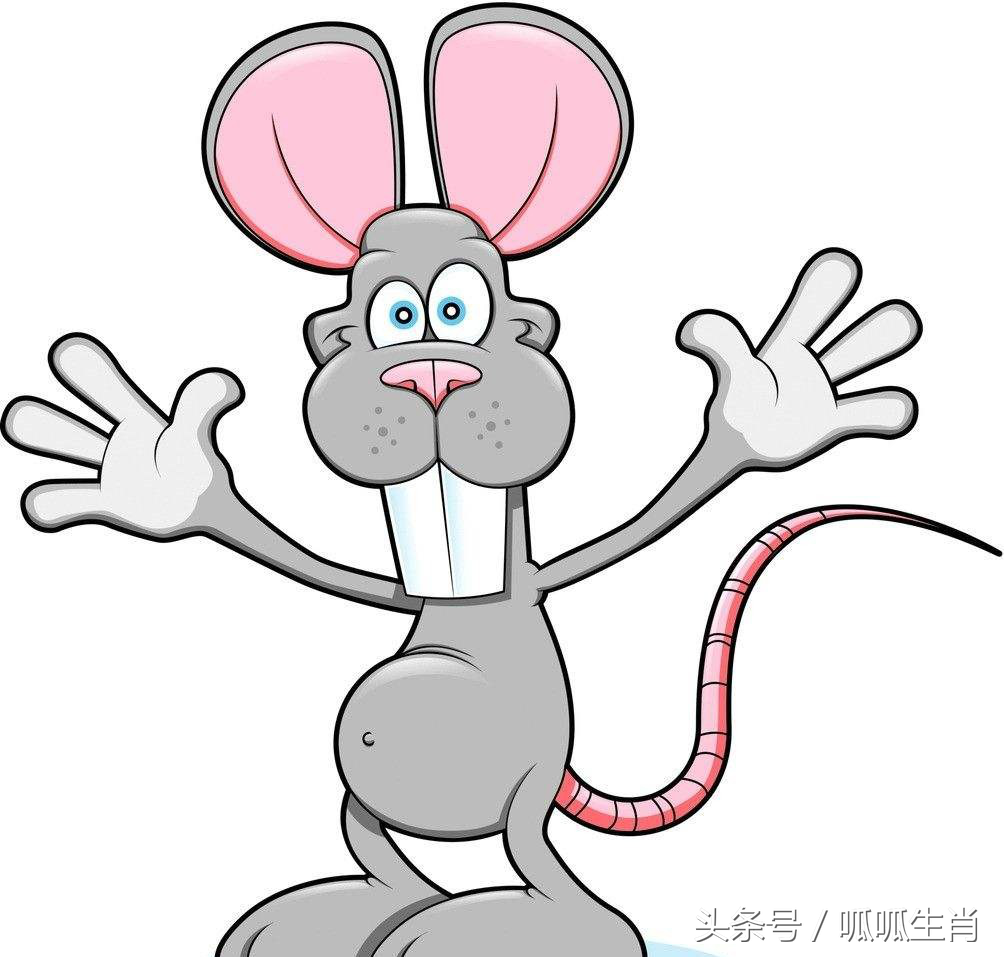 十二生肖中的马善交五湖四海的朋友,这4个