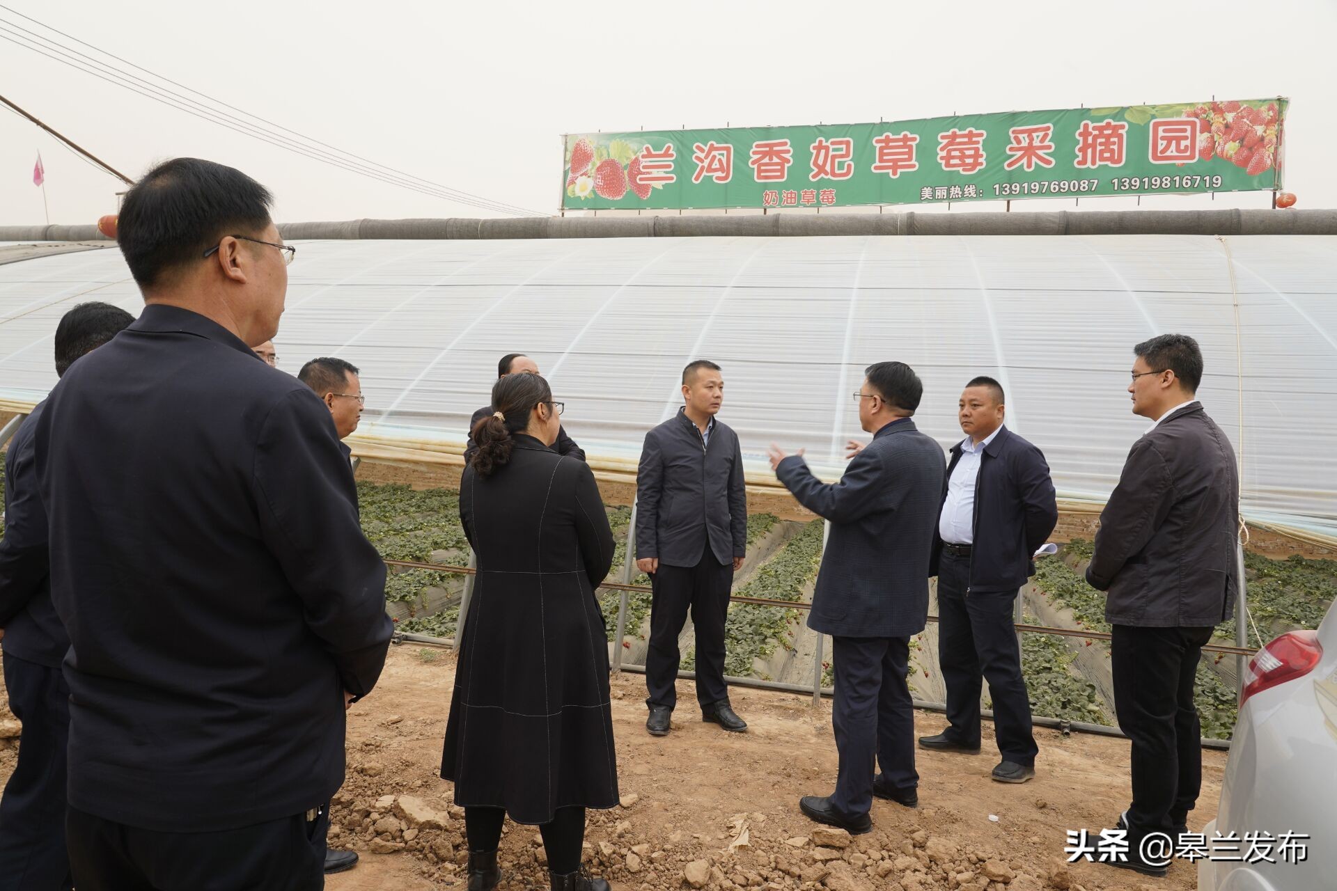 康石调研农业农村和乡村振兴工作-甘肃省建设快讯-建设招标网