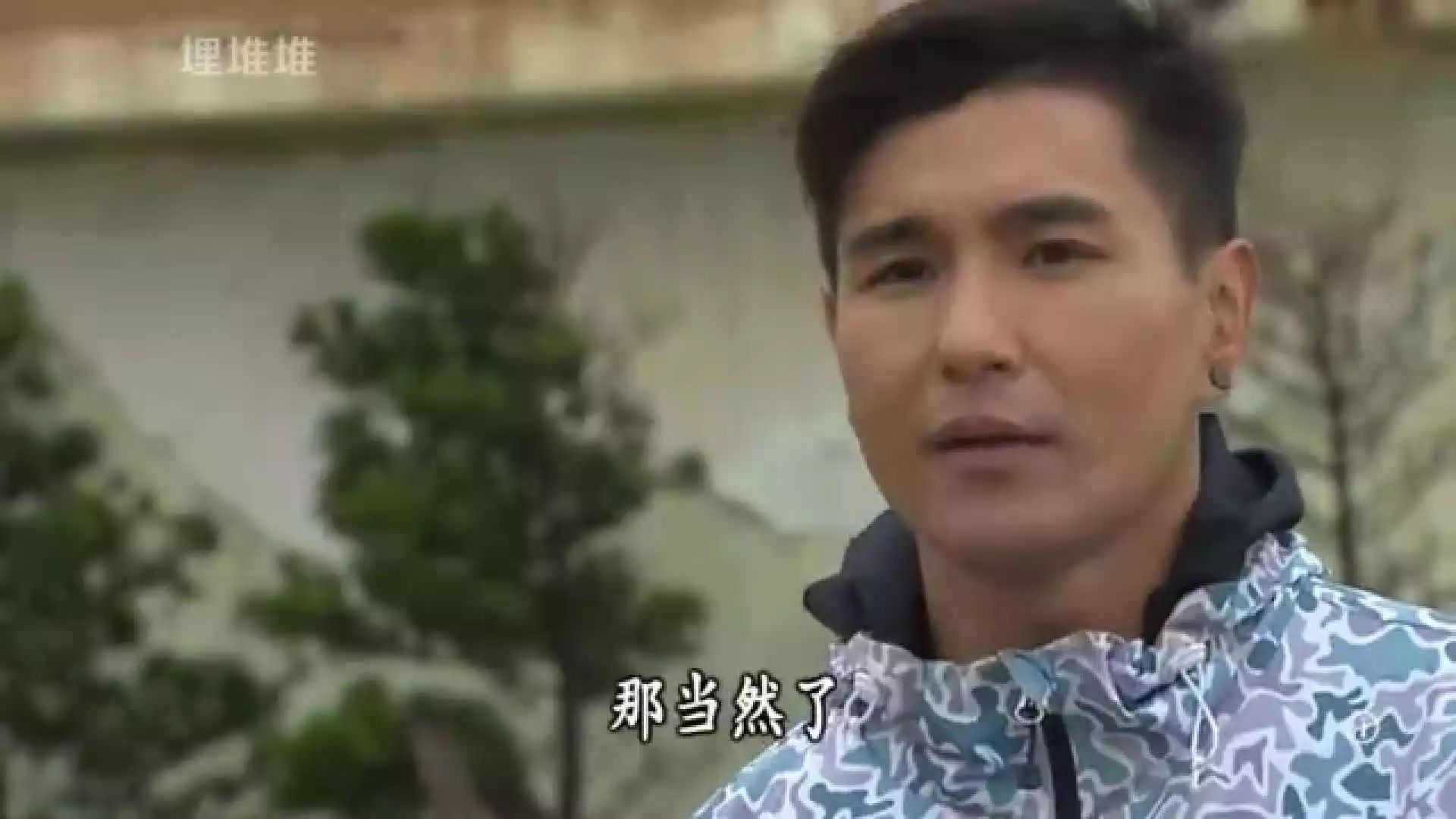 张卫健不知道洪永城叫Tony，TVB男星英文名你知多少？