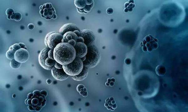 鎮(zhèn)痛日——癌痛有多痛揭露癌痛的秘密