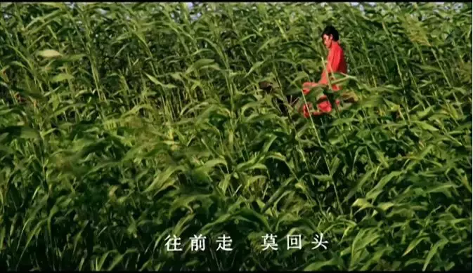 30年前的大尺度重映,国产再也拍不出的经典!