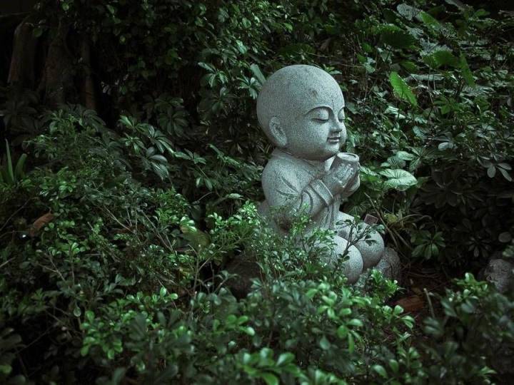 十首古诗词堪称“古代版”心灵鸡汤-第1张图片-非凡网