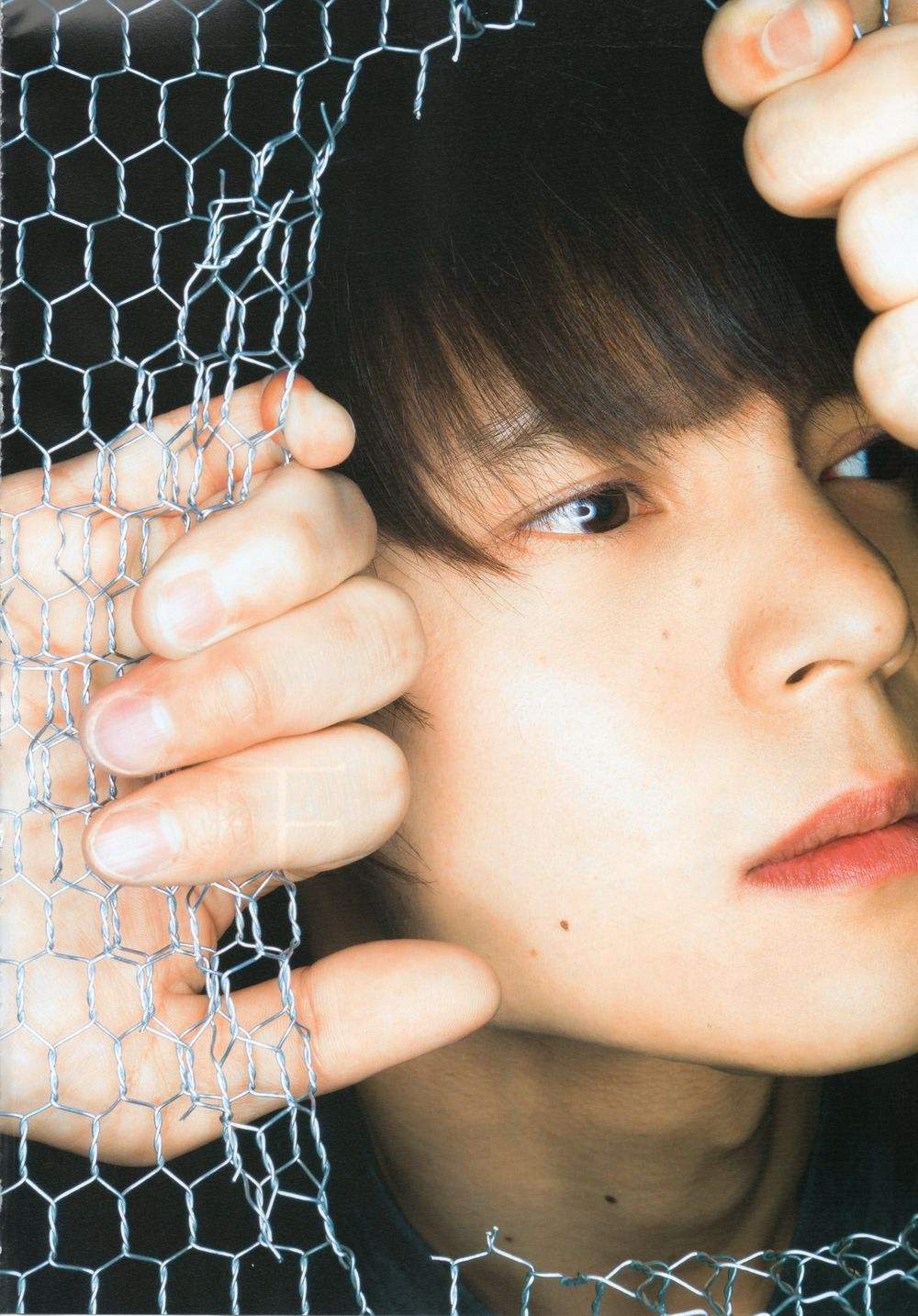 图文 请你不要再散发魅力了 小栗旬为何能成为男性魅力的标杆 小栗旬的真实性格 Www Bagua5 Net