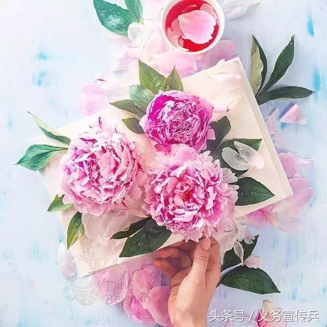 爱情留言大全 适合给对象留言的甜甜小句子图片