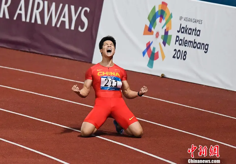 这届奥运会中国代表团“藏”了多少学霸？