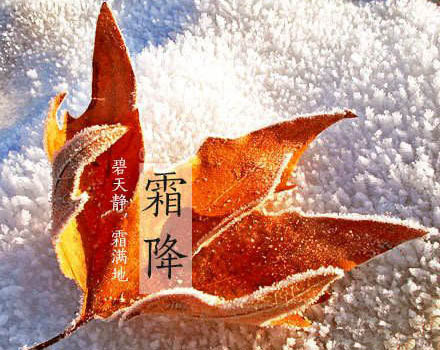 时逢秋暮露成霜-第1张图片-非凡网