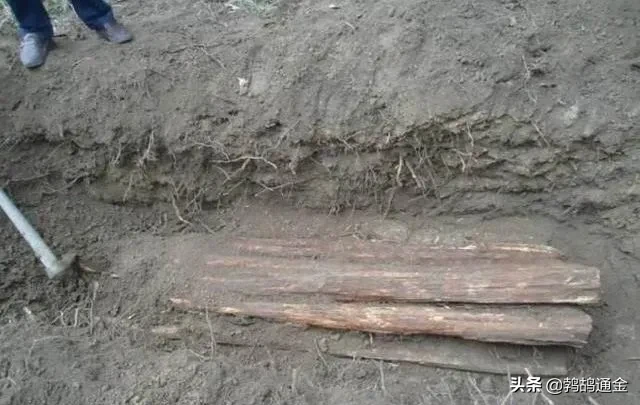 农村后代出现这三种情况，必须选则迁坟