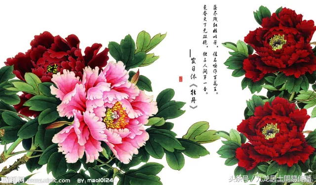 巧用喜用神，让你大富大贵好运一生