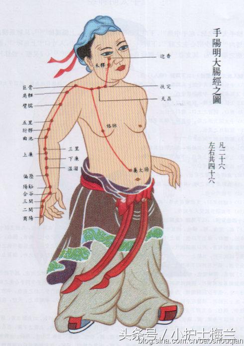 任督二脉及真气学说的中医学本质认识图解