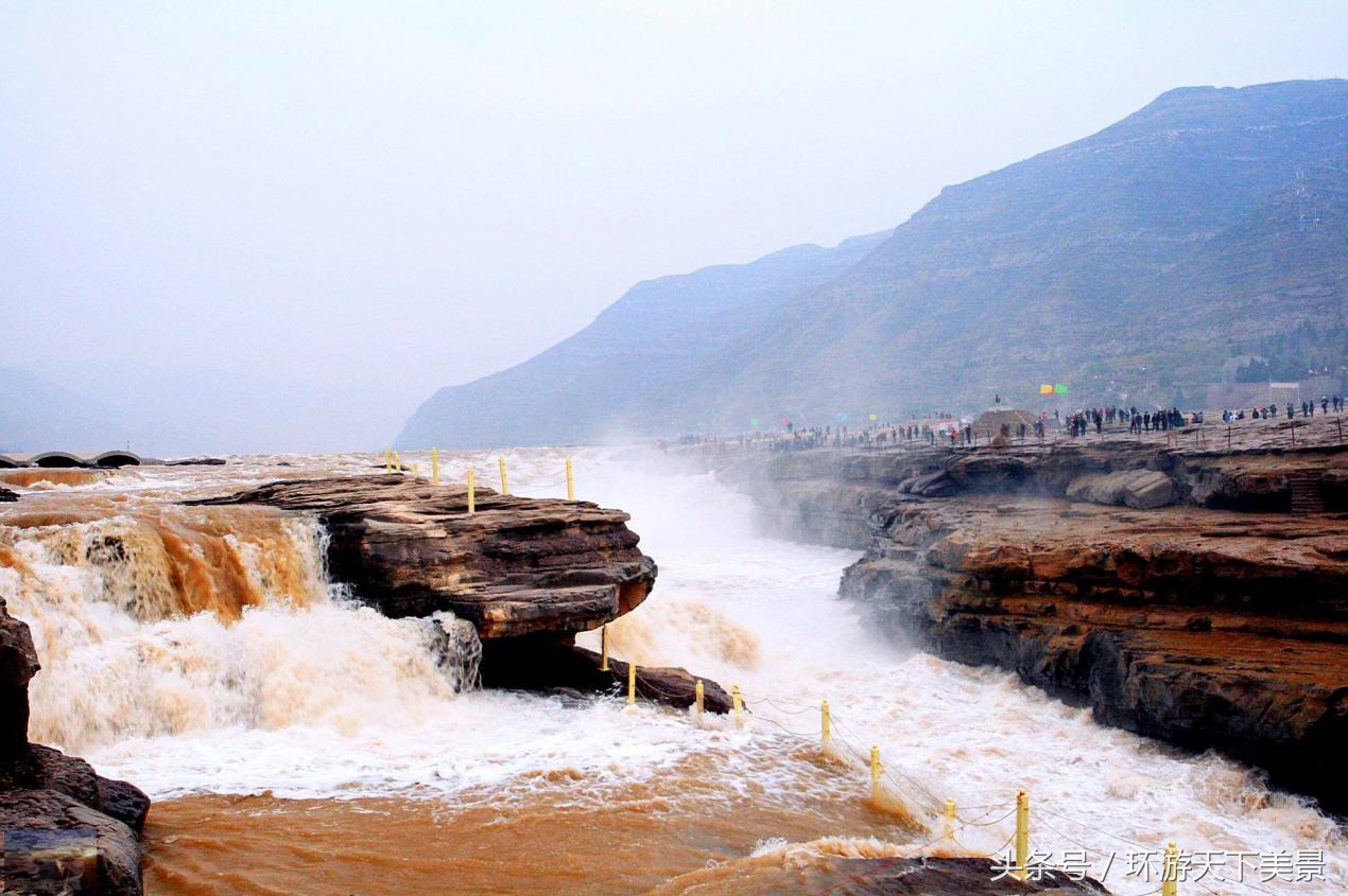 Our country most the crock mouth chute of billowy is about to disappear! Is our country capable to rescue it? 