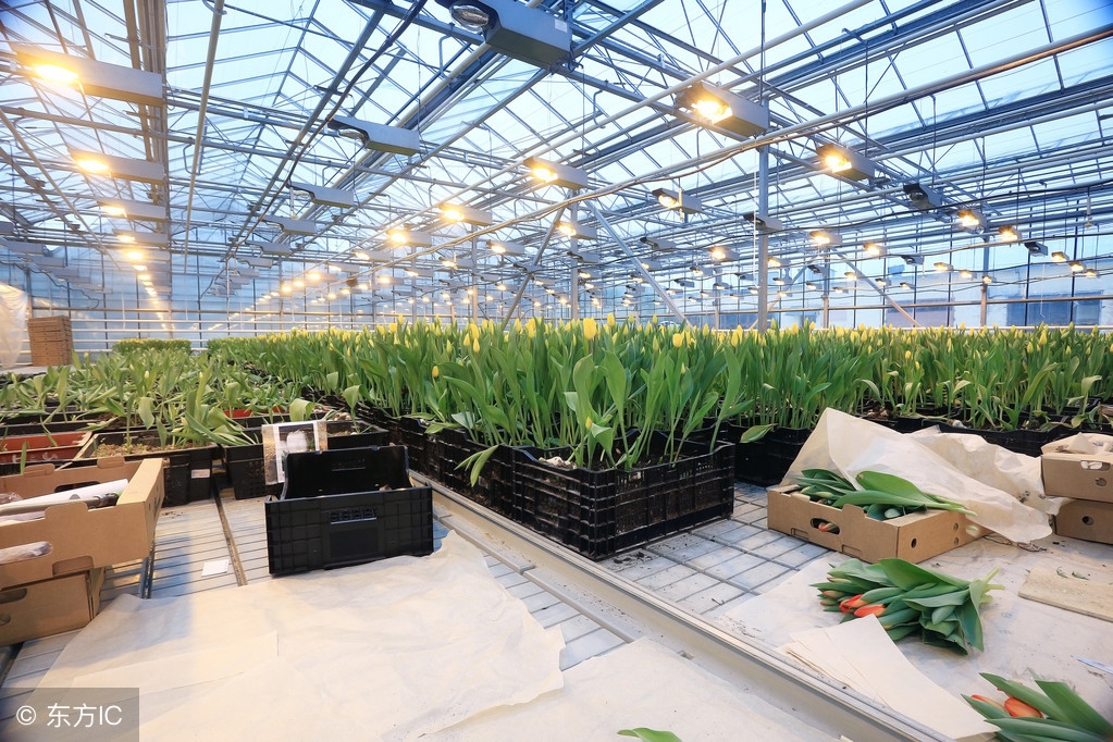 十亩地六千平米玻璃温室大棚花了200多万