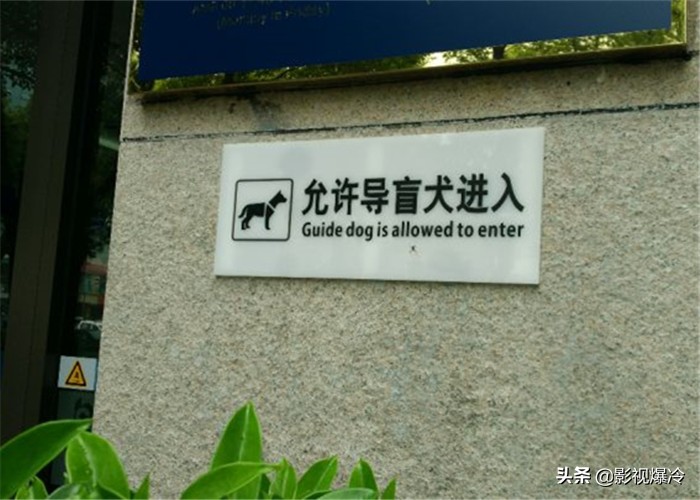 史上最反人类的设计,强迫症看了直呼受不了