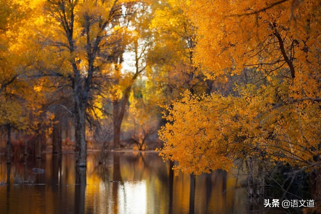 秋天的美-第3张图片-诗句网