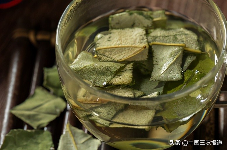 小暑來了，三伏天還會(huì)遠(yuǎn)嗎？這幾種降暑茶，伴您清涼度夏