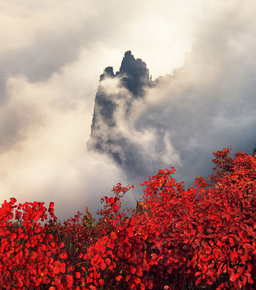 巴山渝水踏歌行·巫山站丨有一种沉醉，叫神女巫山
