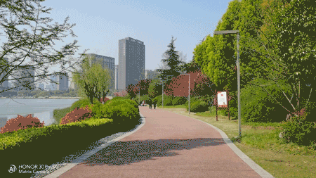 当完全不会拍照的媳妇儿上手测试荣耀30 Pro，你