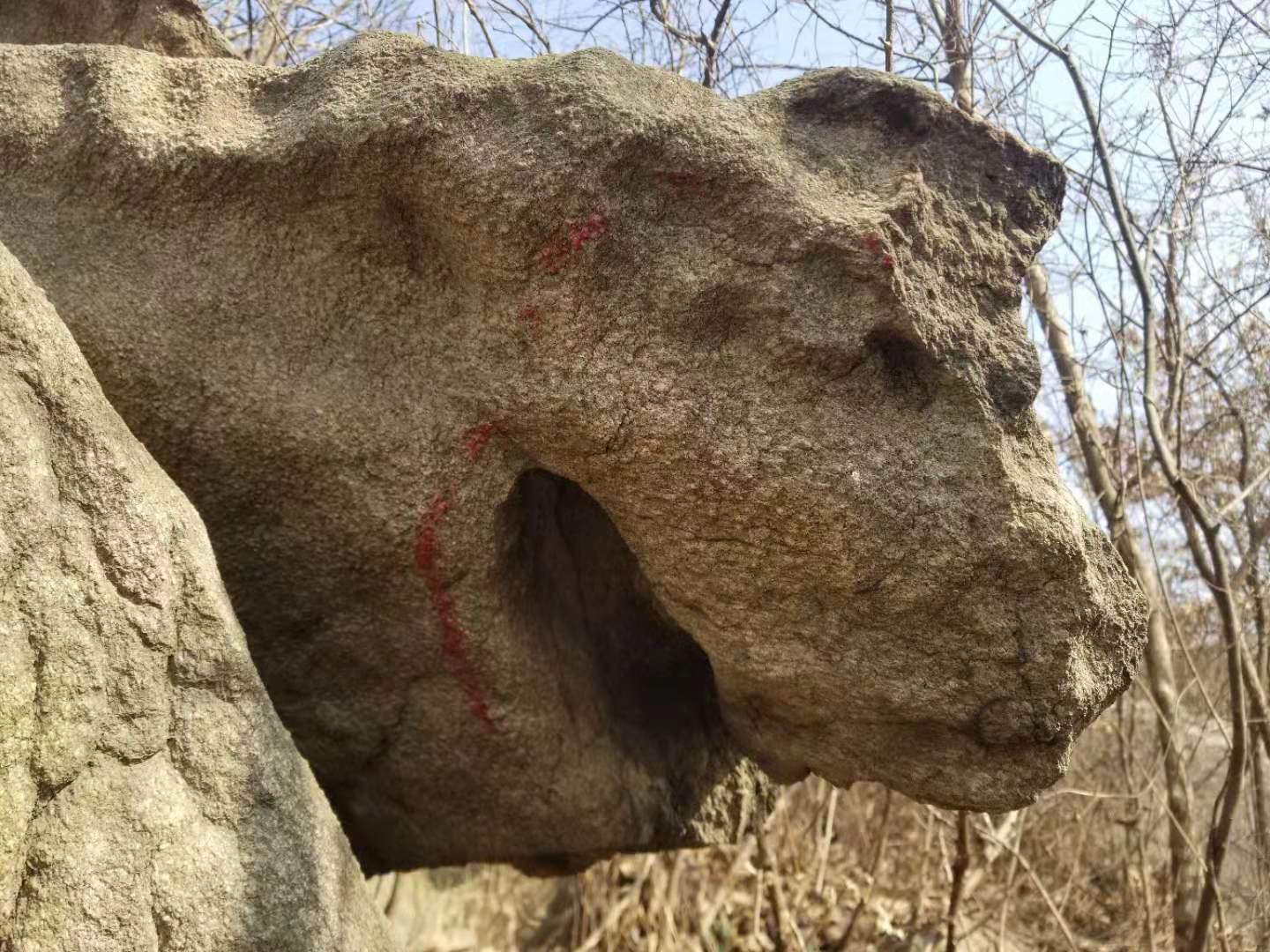 重大考古发现：合肥首次发现大规模史前凹穴岩画群