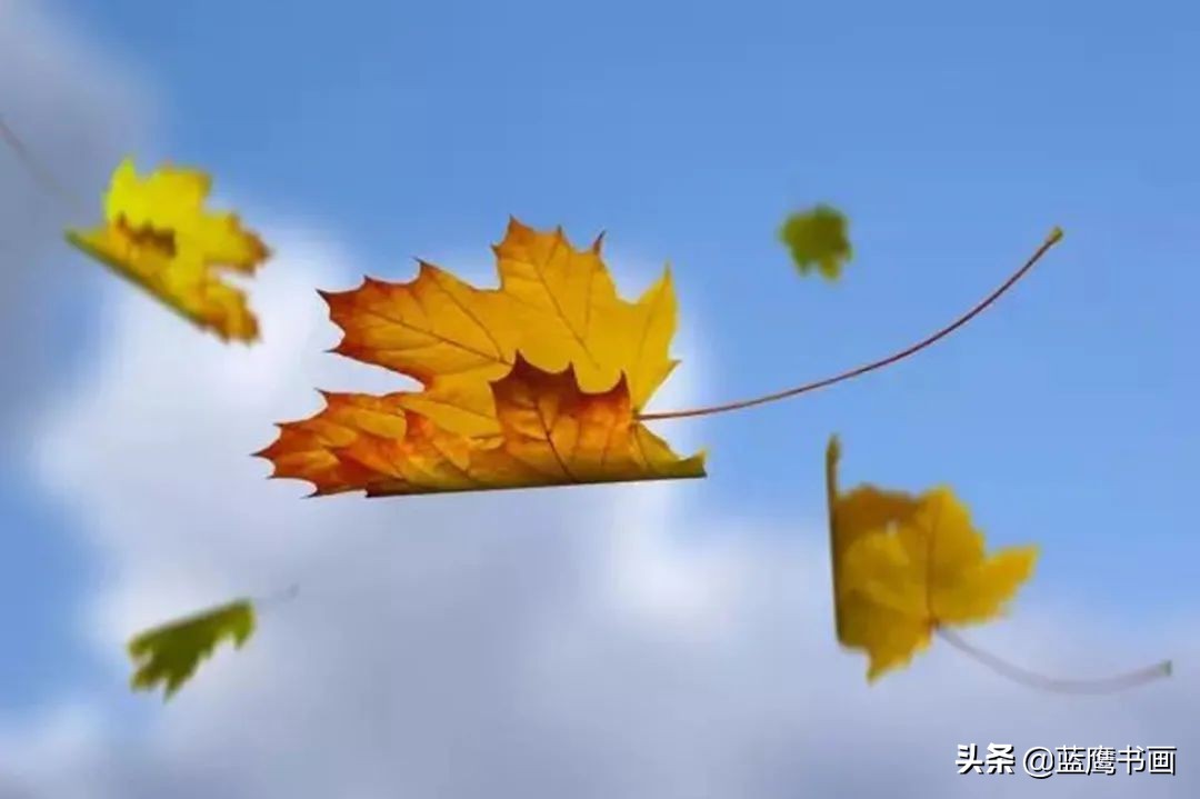 9首写秋天的诗词-第5张图片-诗句网