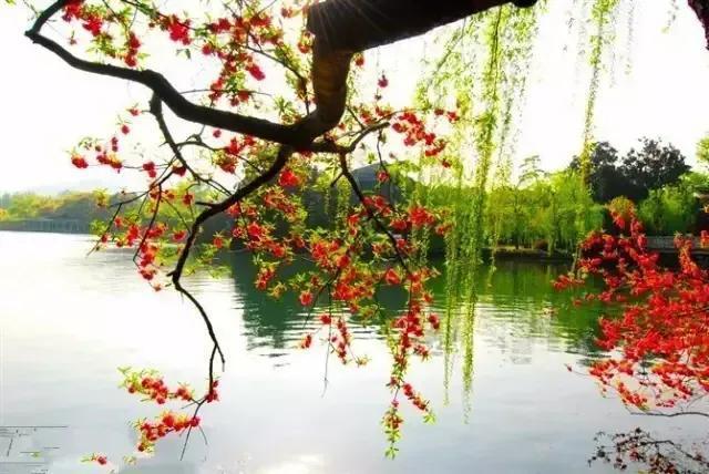 推荐十首古代最美春景诗-第4张图片-非凡网