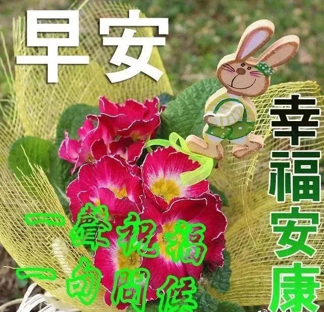 大家早上好最拳表情图  早上好问候语表情图片大全图片