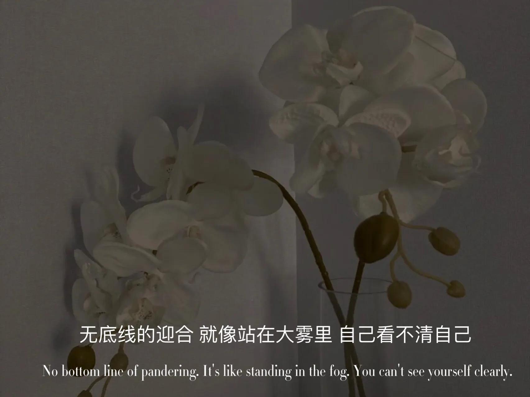 朋友圈文案 喜悦與感動是氣態 失落和失望是常態 小魷魚文案館 Mdeditor