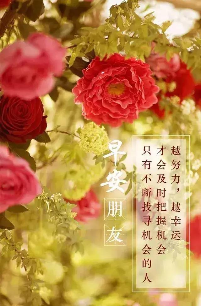 靠谁都不如靠自己的句子发朋友圈 从此不再指望任何人的说说图片