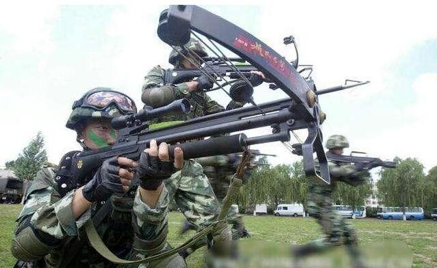 1把弩能买10支95步枪，射程也不如步枪，为啥解放