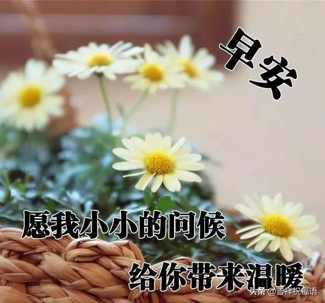 早晨好唯美图 早上好的图片表情带问候句子图片