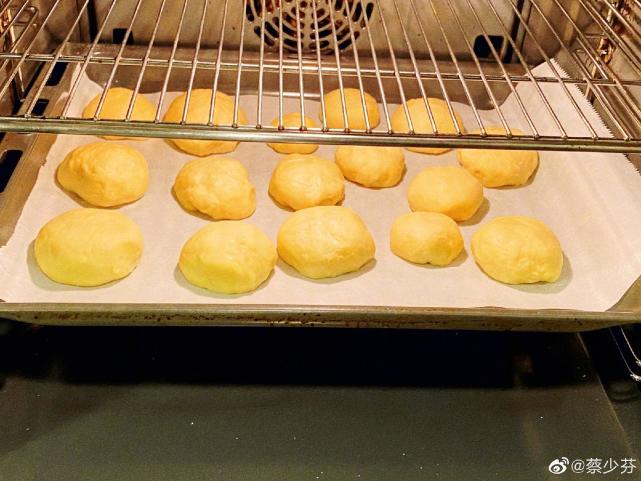 蔡少芬帶兒女做麵包個個顏值高，住宅逼仄5口人沒多少活動空間