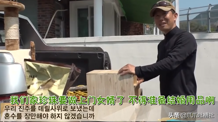 猫咪每日奔袭8公里，只为谈恋爱，谁说异地恋就没有好结局？