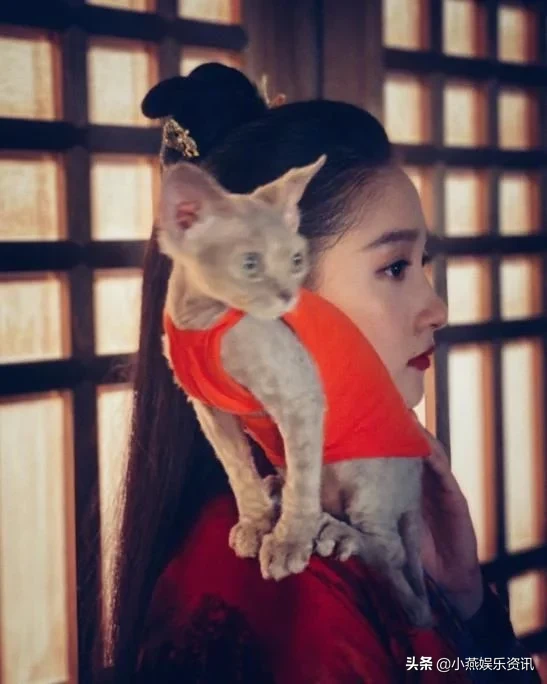 关晓彤晒杀青照满脸奶油仍上镜，希望能像“班婳”一样潇洒坦荡