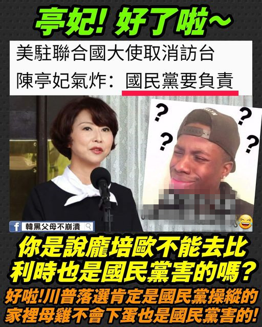 美�大使�取消訪台，國民黨要負責？ �綠委�腦迴路清奇掀罵戰