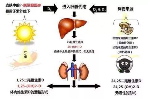 带孩子晒太阳应掌握6个技巧，晒得不对，反而可能有害无益