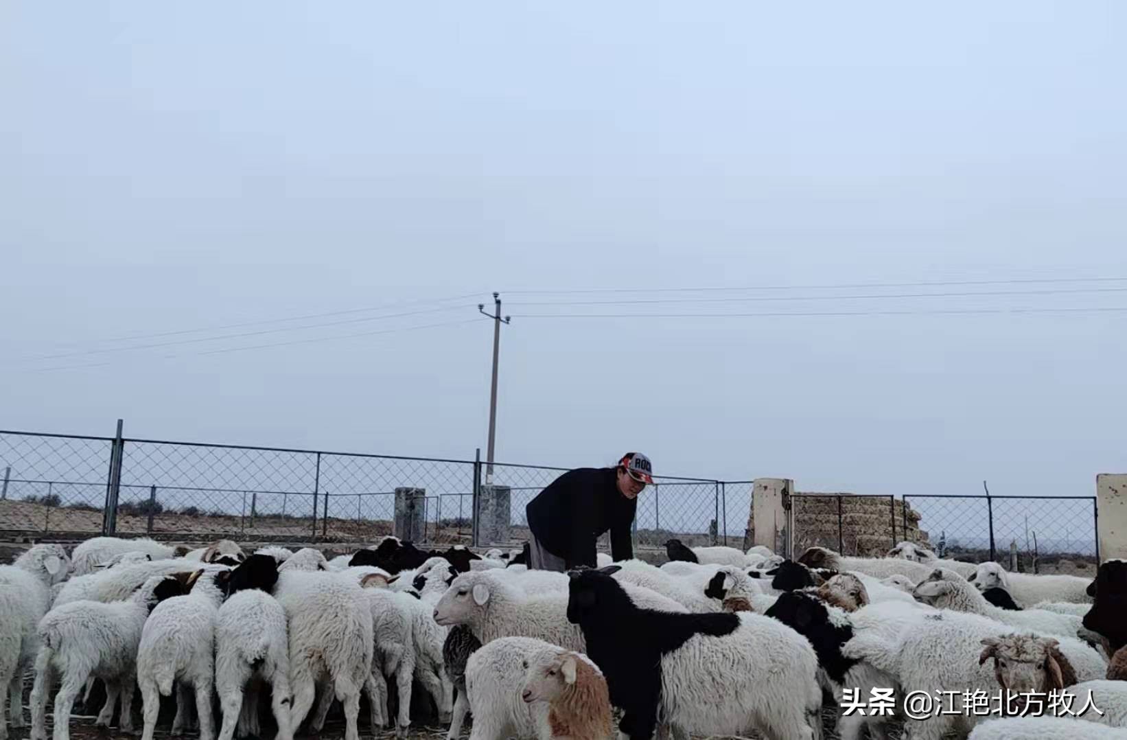 靠養(yǎng)殖到底能不能致富？江艷實(shí)話實(shí)說(shuō)，再聽(tīng)聽(tīng)她的致富經(jīng)