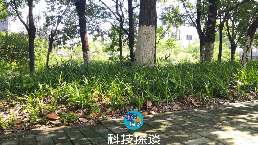 不再为拍摄Vlog发愁，好用不贵的浩瀚小Q云台测评