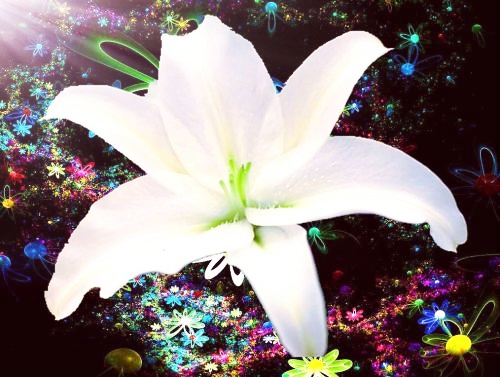 靈魂相似的人，總會相逢