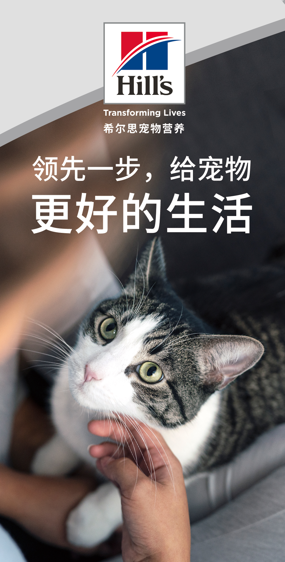 高端进口宠物品牌希尔思亮相2020上海亚宠展，好玩活动等你来